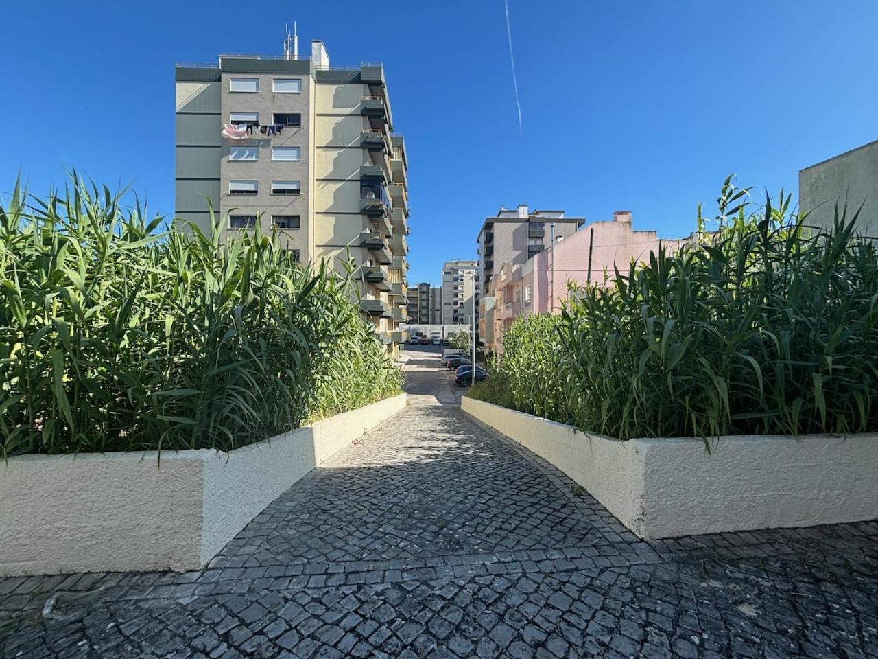 Rosario - Two Bedroom Apart- Buarcos - Figueira Da Foz Dış mekan fotoğraf